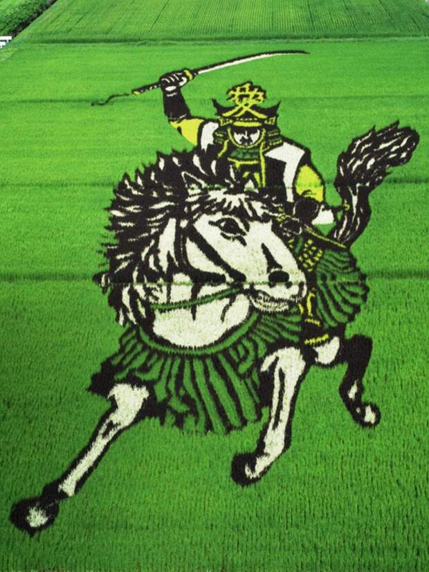 these-rice-fields-in-japan-look-like-ordinary-rice-fields-but-take-a-look-what-happens-next-artnaz-com-7
