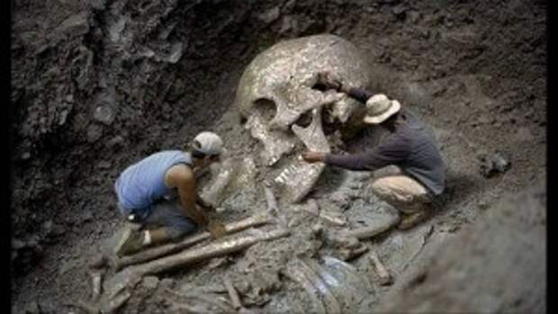 skeleton-3