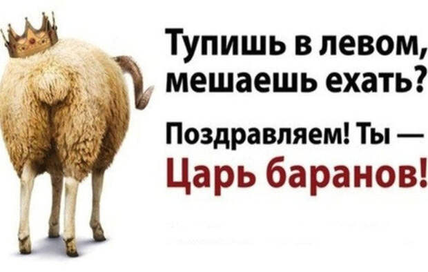 8 вещей, которые не стоит делать за рулем 8 вещей, которые не стоит делать за рулем авто, водители, дорого, пробки