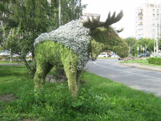 Цветочные фигуры в Красноярске