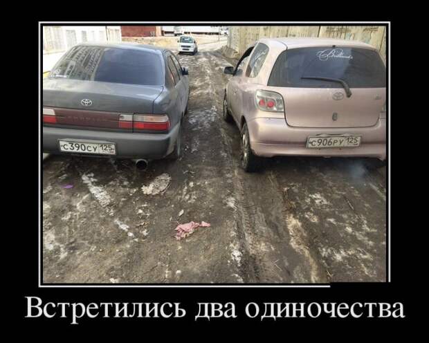Демотиваторы (30 фото) Демотиваторы (30 фото)