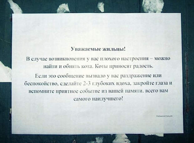 15 добрых объявлений, вселяющих надежду добро, объявления, позитив