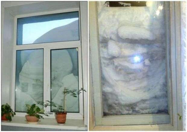 Юмор в фотографиях Юмор в фотографиях