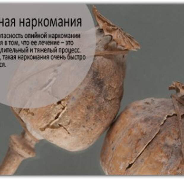 Новости Крыма