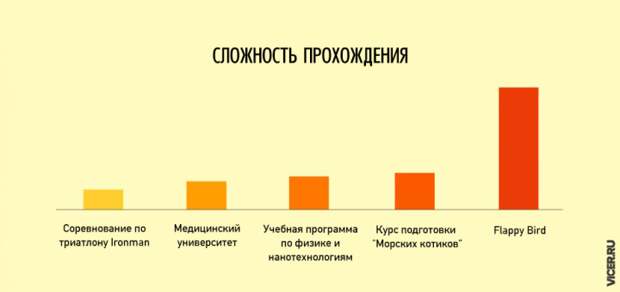 Правдивые инфографиков о нашей жизни