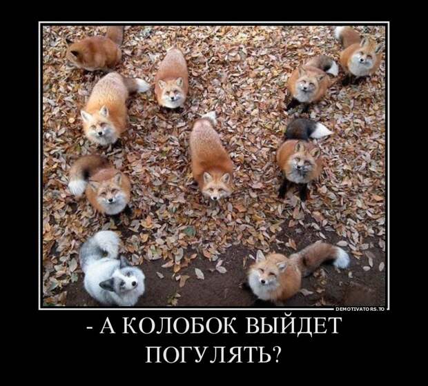 Демотиваторы бревно, демотиваторы, юмор