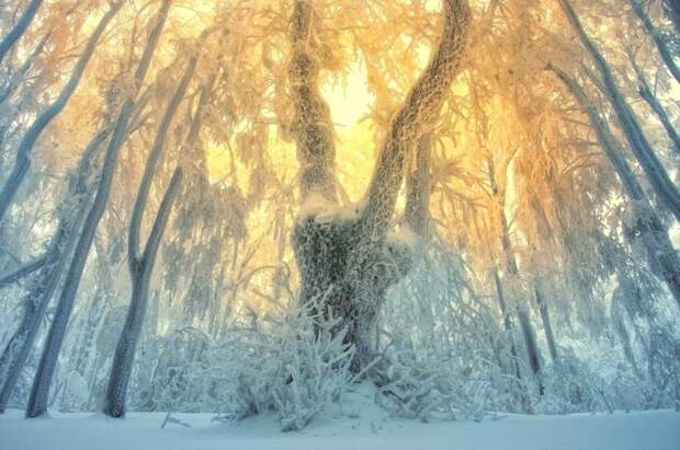 Красивые фотографии чешского фотографа Janek Sedlar