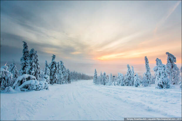 Зима в Лапландии / Winter in Lapland