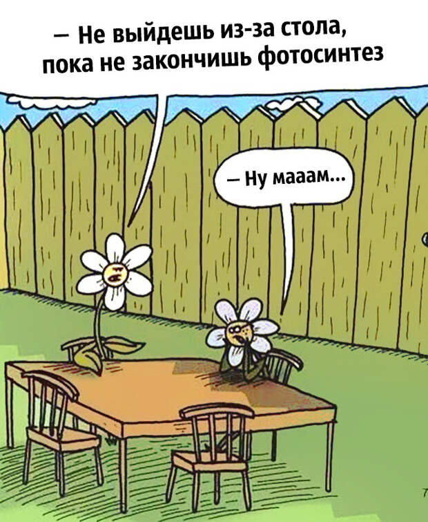 забавные картинки про учёных