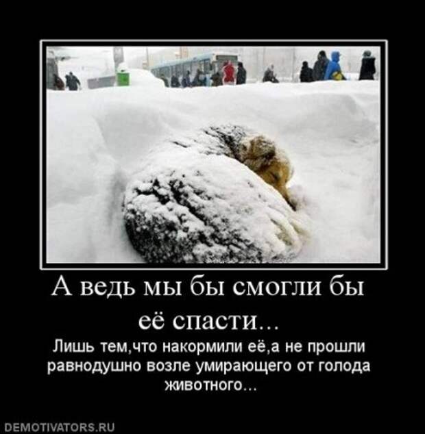 Красивые демотиваторы и серьезные фразы и цитаты со смыслом.