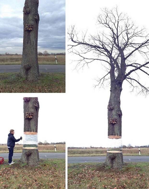 4. Парящее дерево от Марио Шу (Mario Shu) и Даниэля Сайэринга (Daniel Siering), Германия в мире, стрит-арт, художники