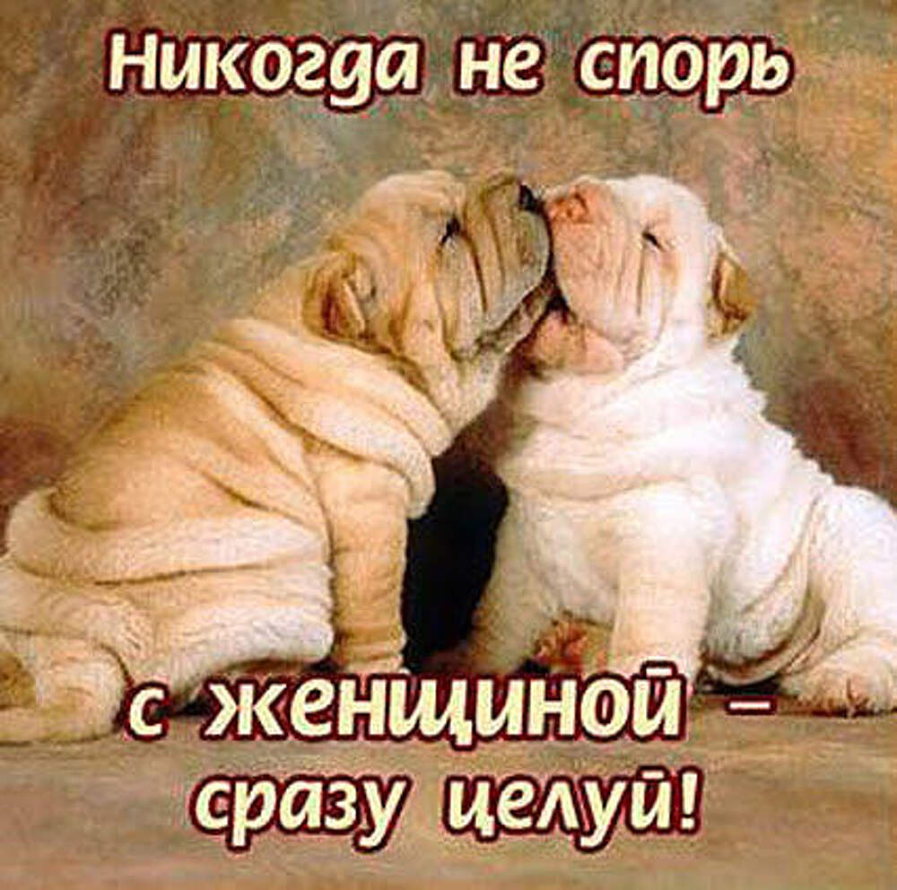 Гифки с добрым утром с животными и надписями
