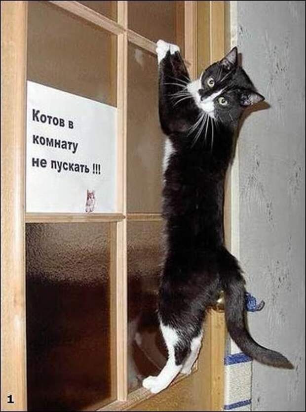 d44190fe99231d8a8c1844f9302050c0