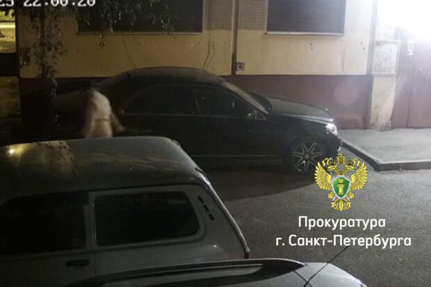 В Петербурге женщина поцарапала ключом чужой автомобиль и угодила под суд