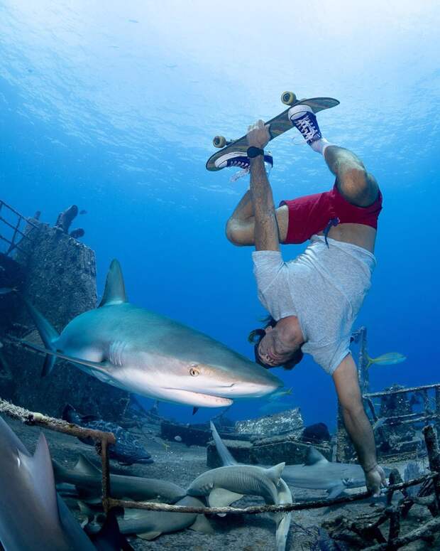 Андре Масгроув (André Musgrove) и его невероятные подводные снимки