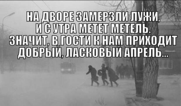 Фото-приколы для настроения (44 шт)
