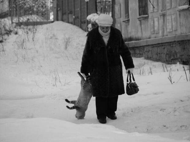 Приколюхи. Очень смешно!