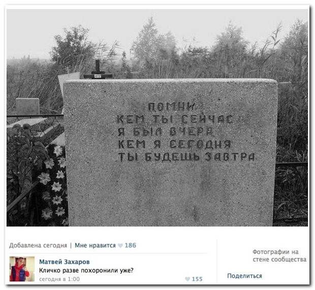 Любимые комментарии из социальных сетей