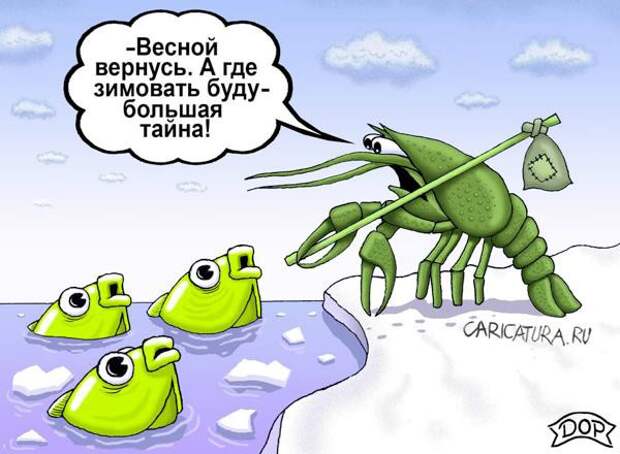 Где зимуют раки? история, познавательно, раки