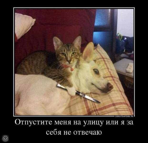 Спасибо женщинам за эволюцию! 1