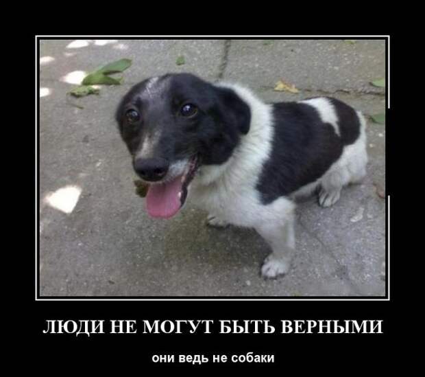 Демотиваторы (30 фото)