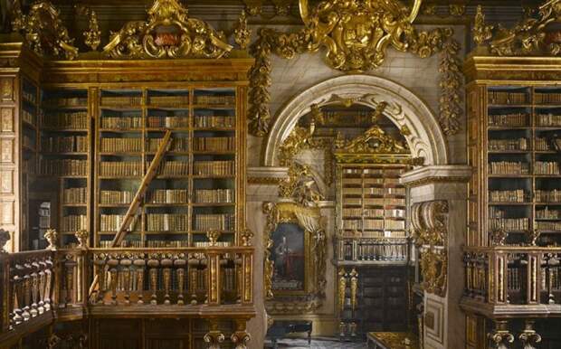 magnifique-bibliotheque-14