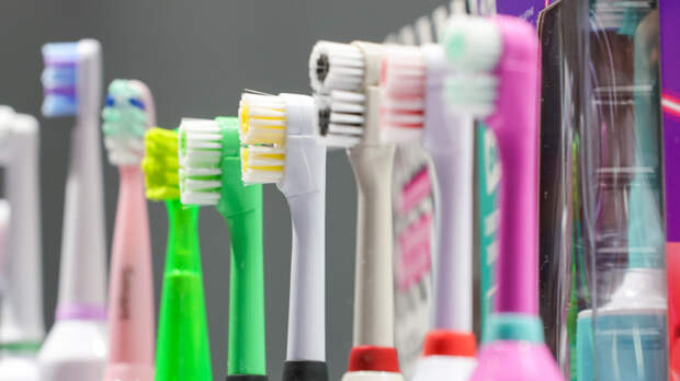 Бактерии на щетине: когда пора выкидывать старую зубную щетку