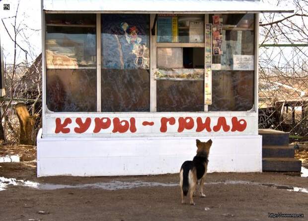 Скандал в Москве. В столичных ларьках торгуют мигранты сифилитики и туберкулезники. Расследование "Стоп мигрант!"