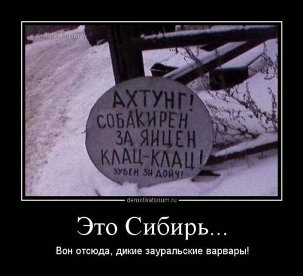 Прикольные картинки - свежая подборка Прикольные картинки - свежая подборка