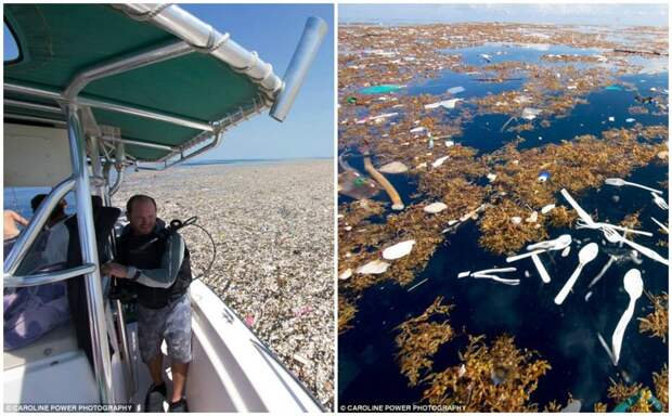 В Карибском море обнаружили "остров" из пластиковых отходов загрязнение, мусор, океан, отходы, природа, фото, шок, экология