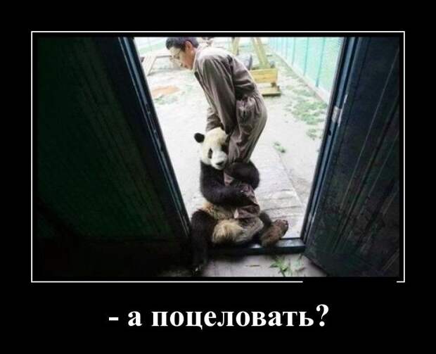 Демотиваторы (30 фото)