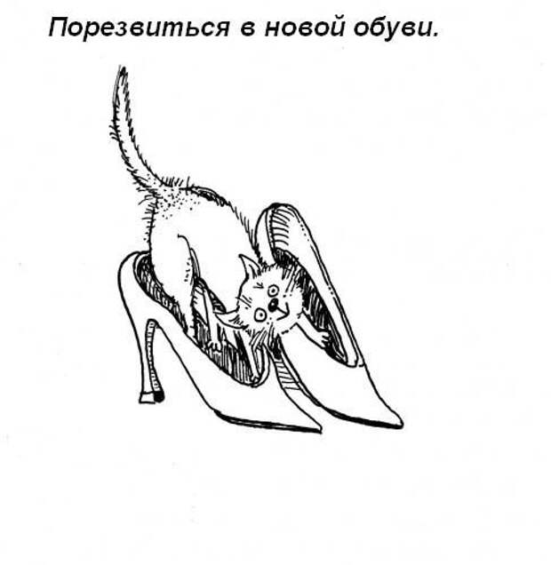 Обязанности кота по дому!