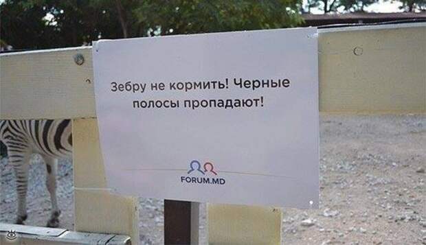 Приколы молдавского зоопарка 1