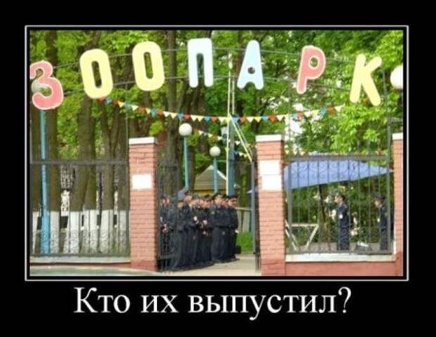 Демотиваторы от которых у тебя поднимется не только настроение. И плевать, что это неправда…