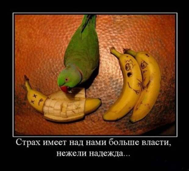 Демотиваторы смысл есть их посмотреть.