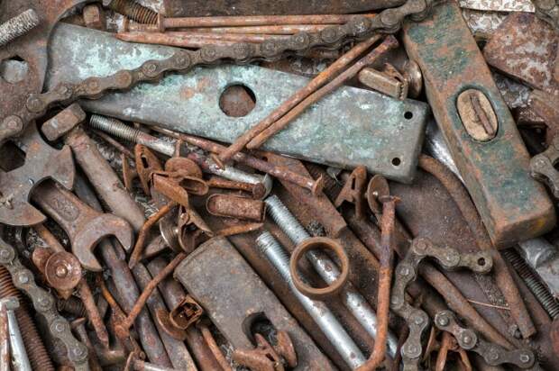 Легко почистить. /Фото: pixabay.com.