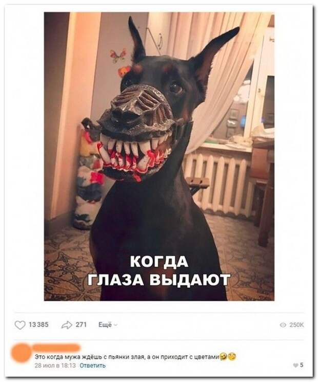 setey-socialnyh-kommentarii-citaty-vkontakte-vkontakte-smeshnye-statusy