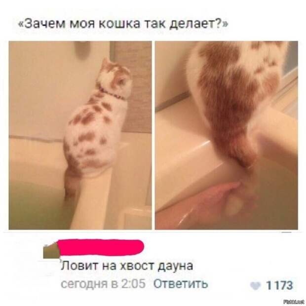 Ловись рыбка большая и... Ловись рыбка большая и...