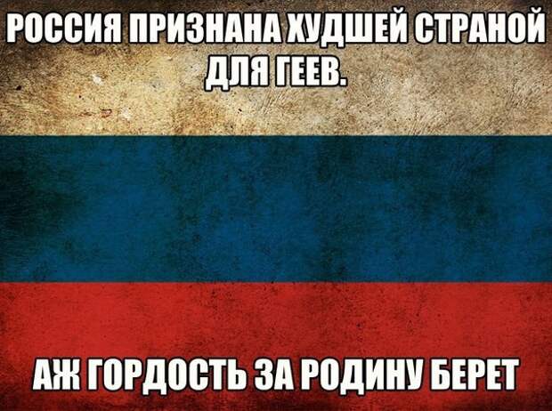 Смешные картинки с надписями прикол, юмор