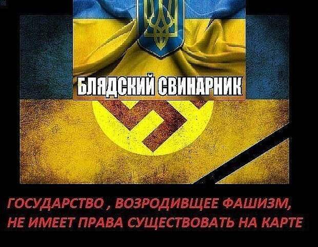 Политические комментарии из инета