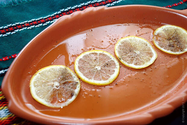 plateau_mackerel_07 (700x468, 458Kb)