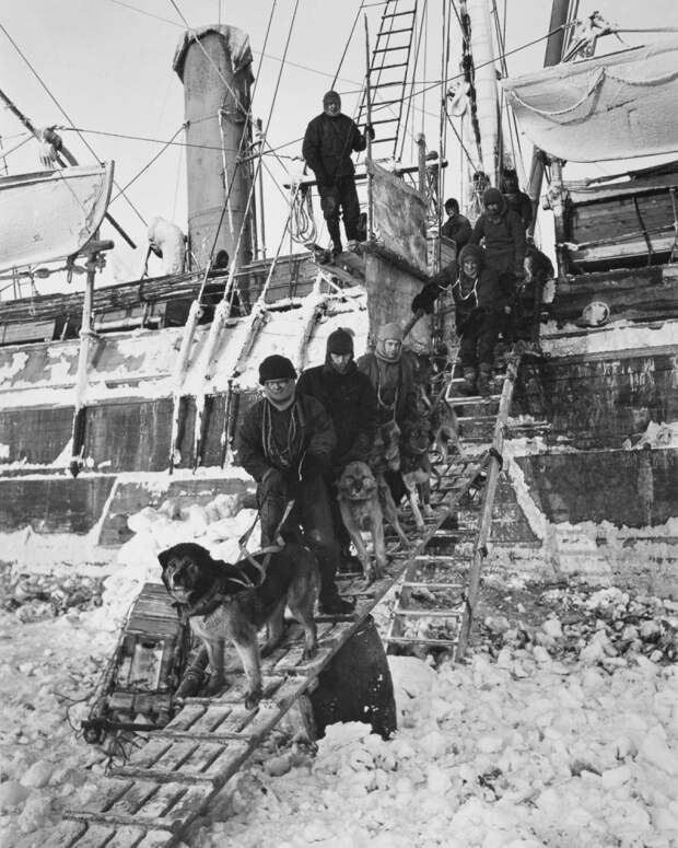 1914-1916 годы: «Эндьюранс» или история выживания 28 человек среди льдов Антарктики 1914-1916 годы: «Эндьюранс» или история выживания 28 человек среди льдов Антарктики