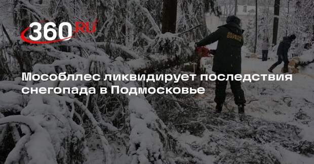 Мособллес ликвидирует последствия снегопада в Подмосковье