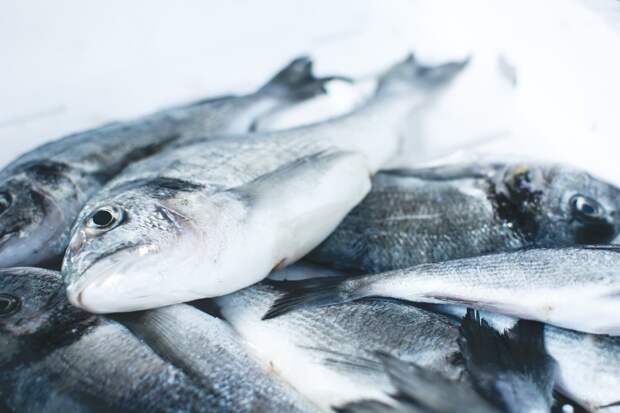 Fish at the Market
