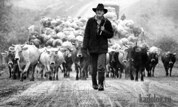Фотожаба. Известные люди после кризиса (22 фото)