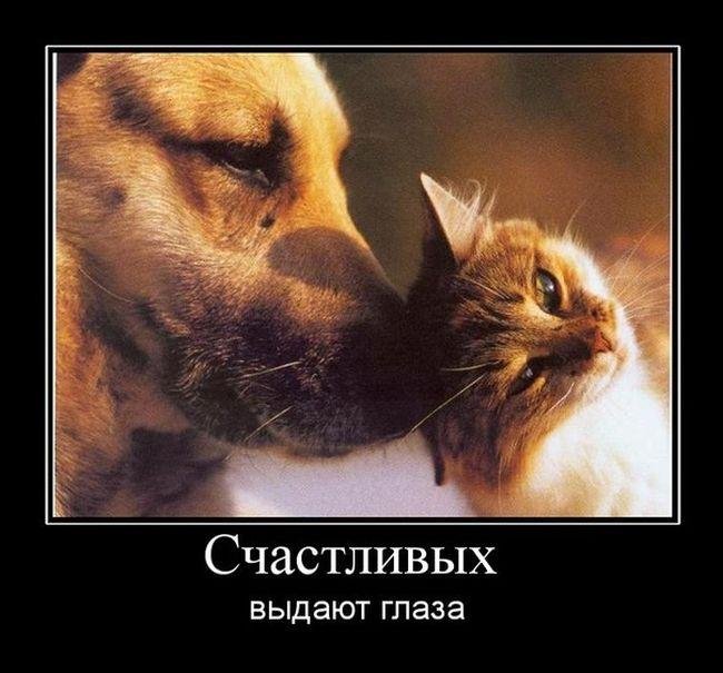 Подборка прикольных демотиваторов