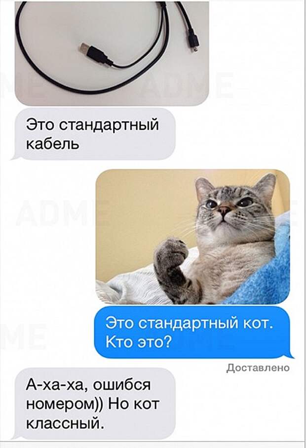 clip_image002