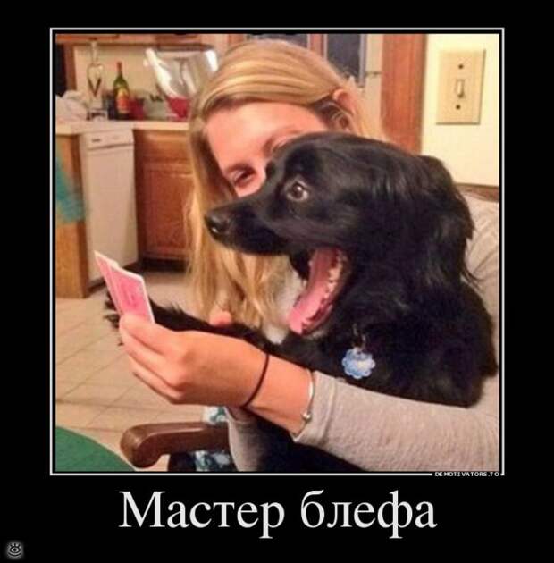 Бабье лето прошло! 38