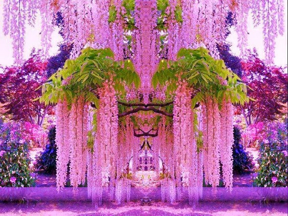 http://asptur.com/wp-content/uploads/2014/03/Kawachi_Fuji_Garden5.jpg