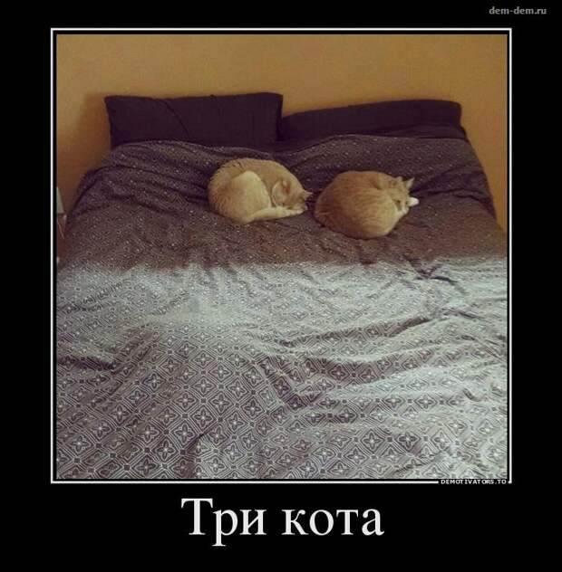 Свежие демотиваторы дня от 08-07-2014